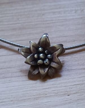 Hanger Edelweiss